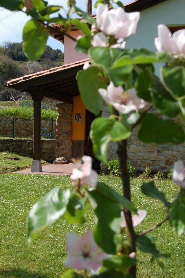 El Llano Casa Del Sellaヴィラ エクステリア 写真